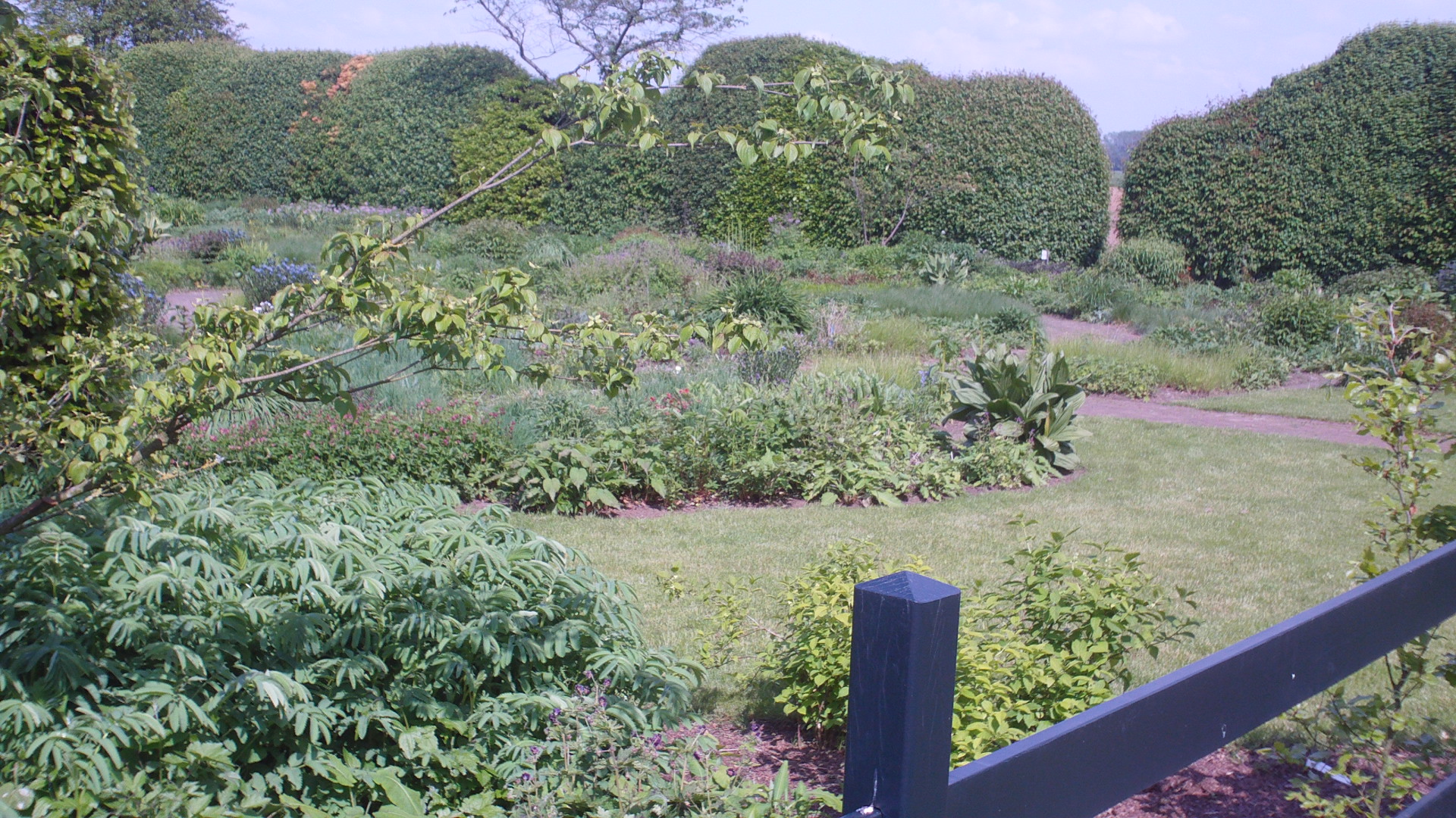 2012 HWK 057.jpg